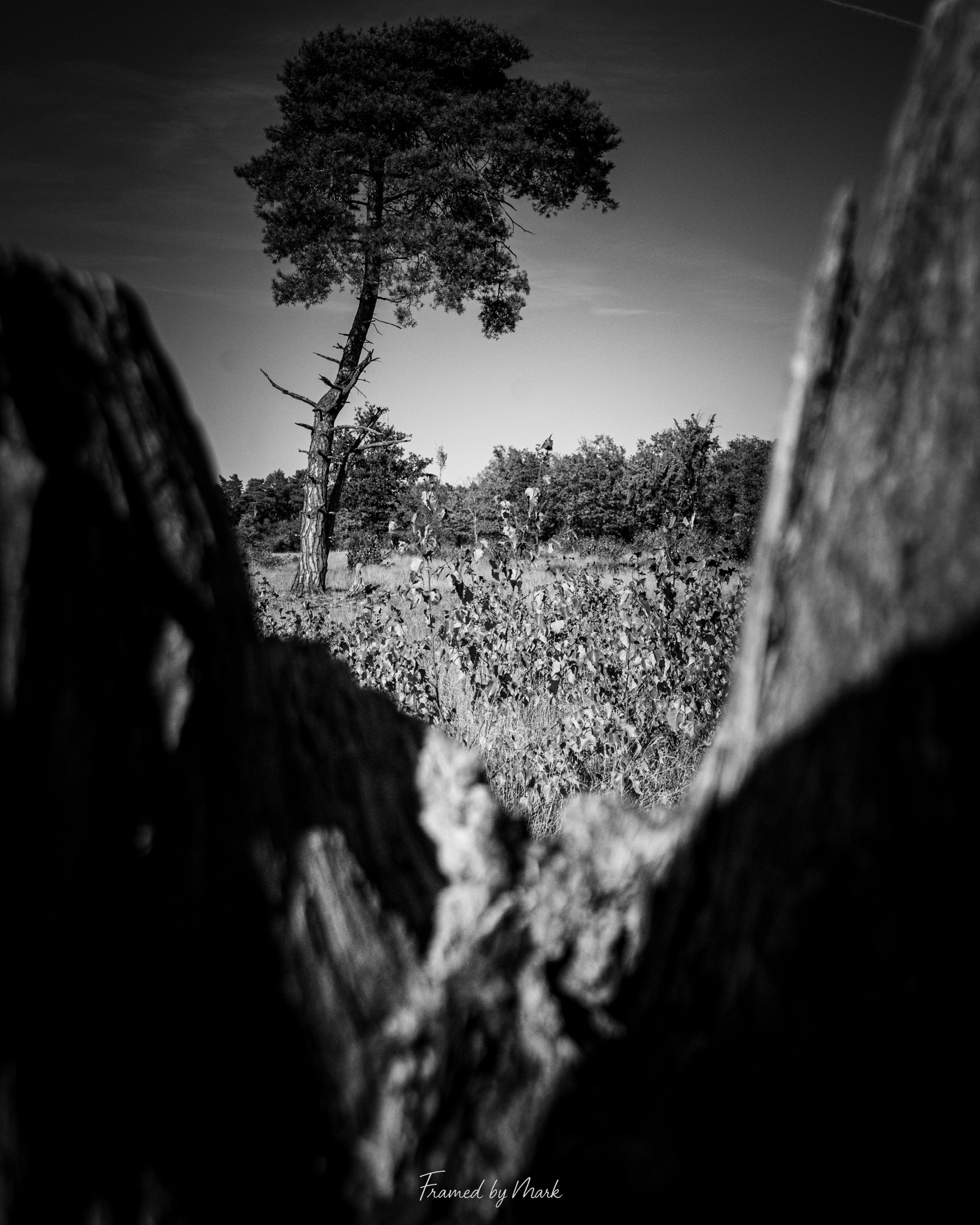 Through the Ruins