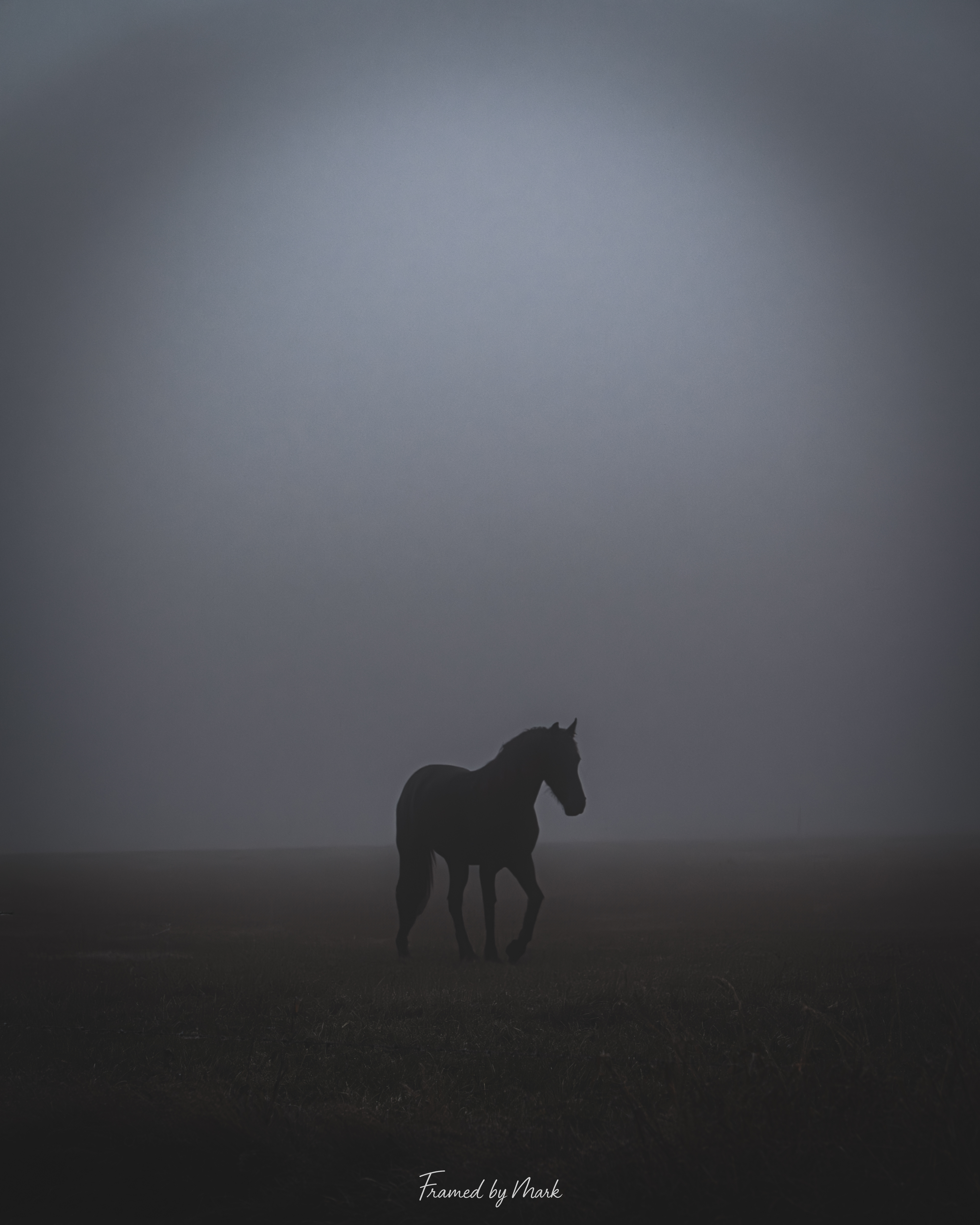 Whispers of the Mist