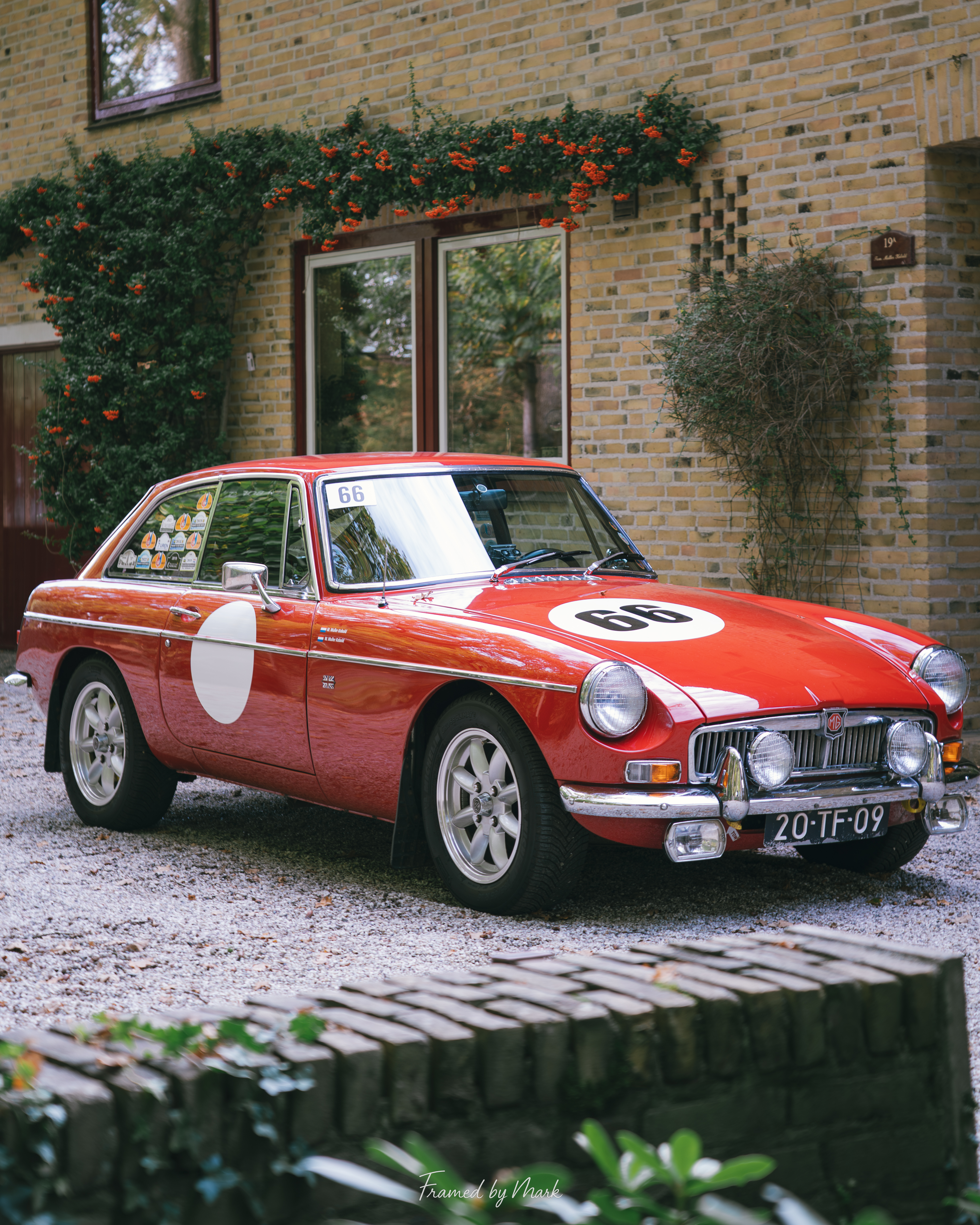 Standing Still, Yet Alive