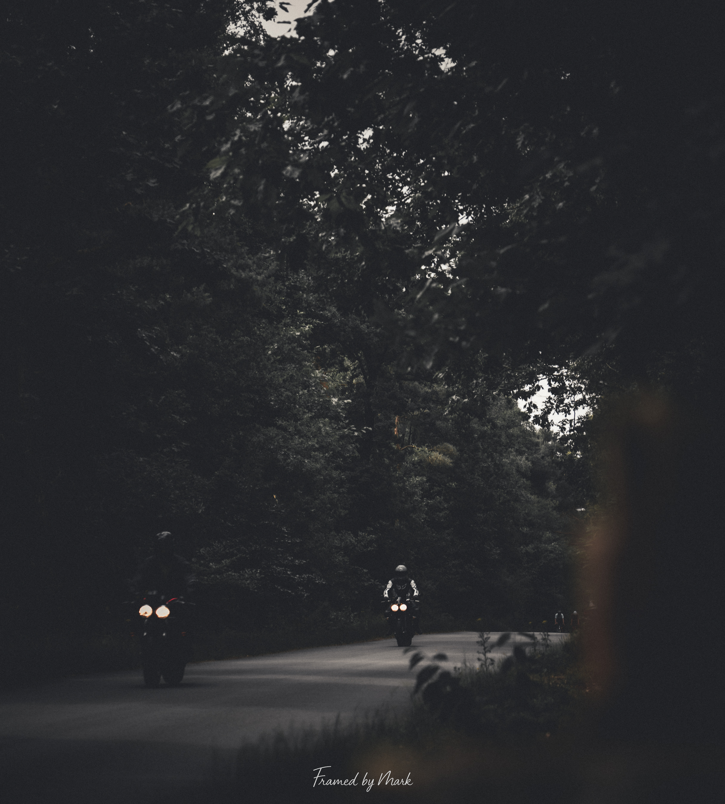 Into the Shadows