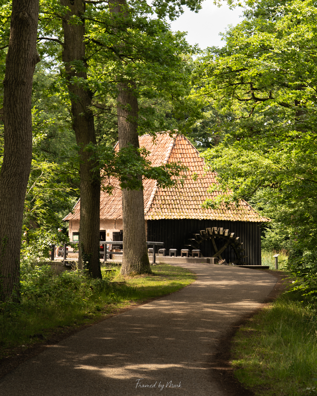 A Mill’s Story