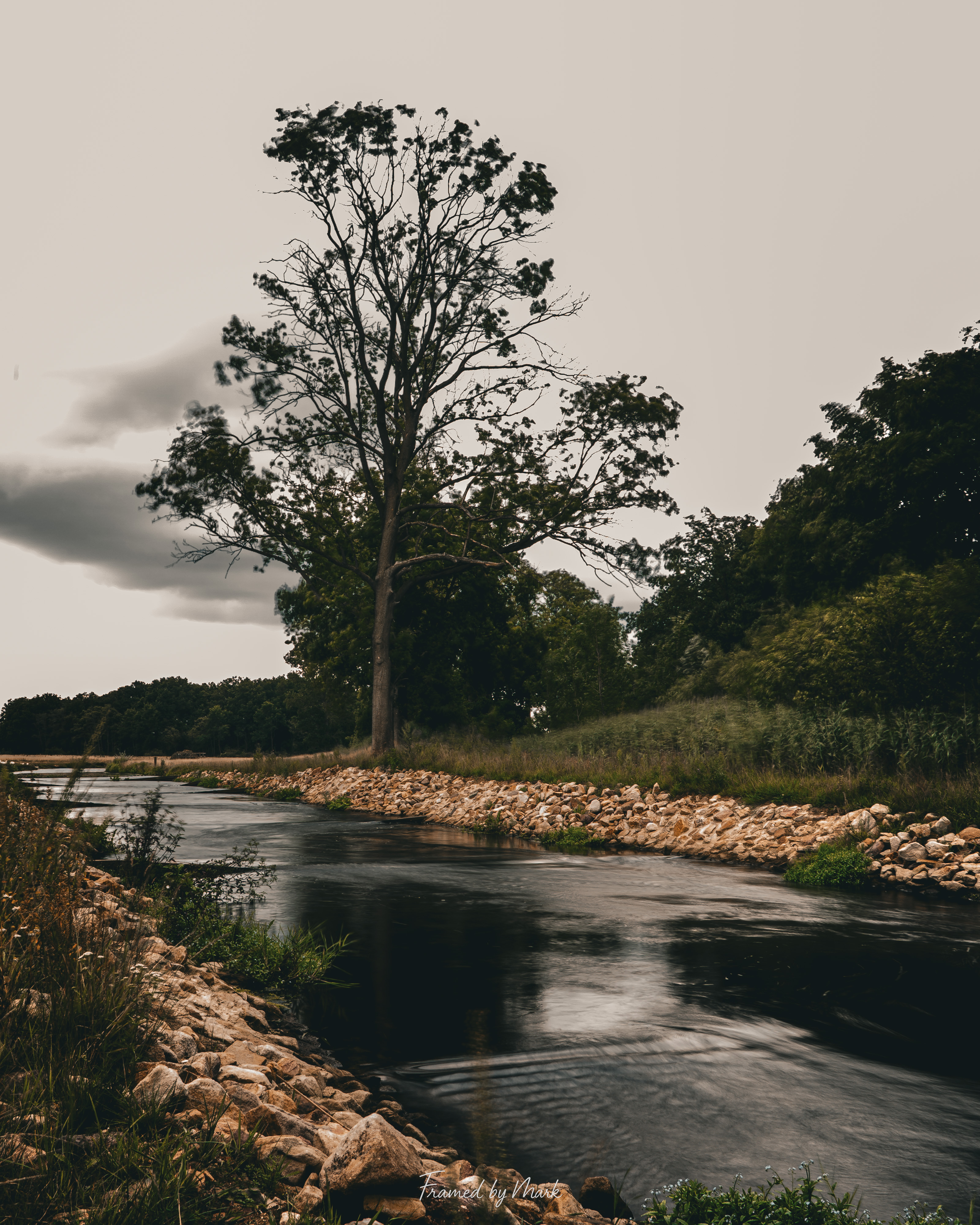 Calm Stream